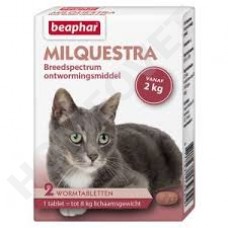 Beaphar Milquestra cat wormer - 2 beef flavoured tablets